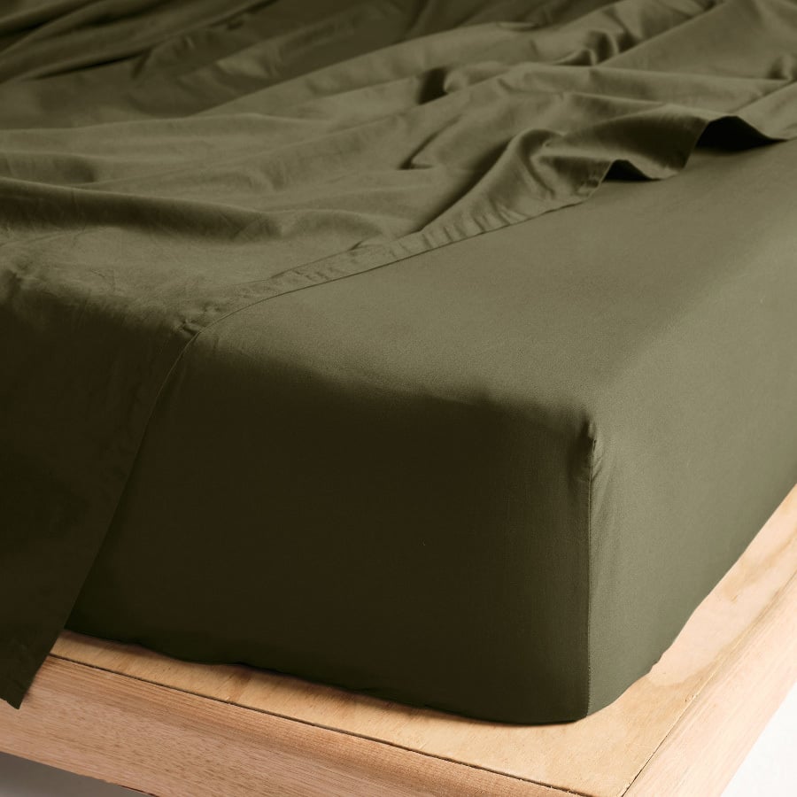 Augusta 500TC Cotton Sateen Fitted Sheet