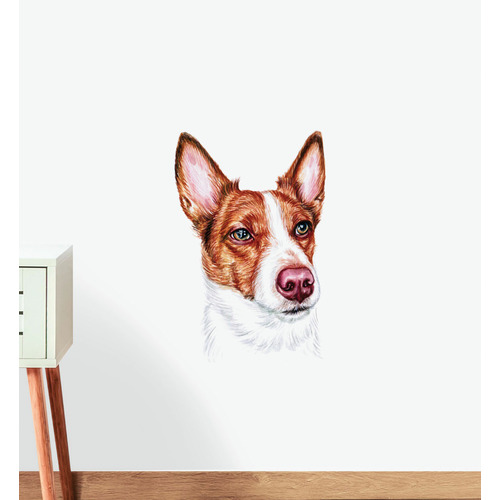 basenji fox