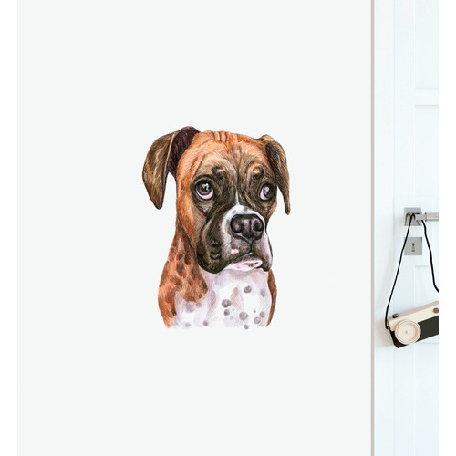 Boxer Dog Wall Sticker | Temple & Webster