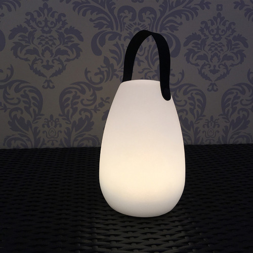 Reegan LED Lamp with handle