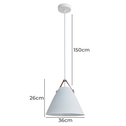 Beaune 1 Light Metal Pendant