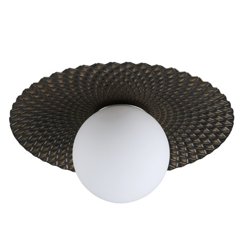 Ceiling Light/Wall Light