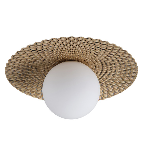 Ceiling Light/Wall Light