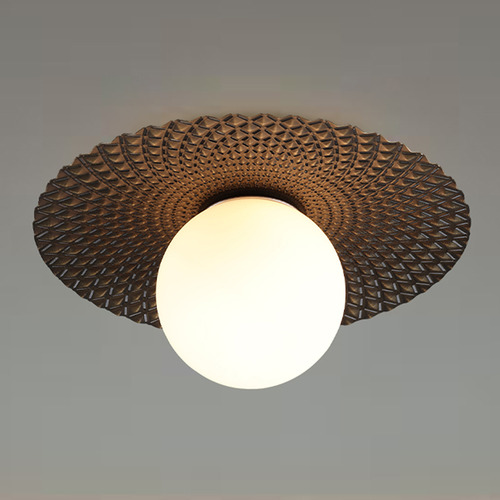 Ceiling Light/Wall Light