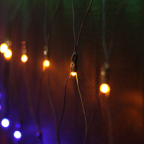 1600 Ginger LED Net Fairy Lights