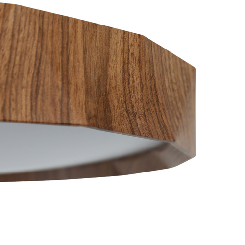 Chad LED Oyster Light