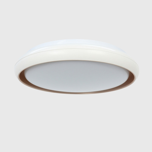 Aurora LED Oyster Light