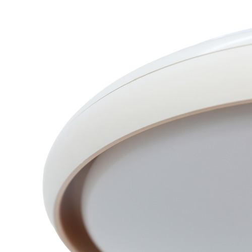 Aurora LED Oyster Light