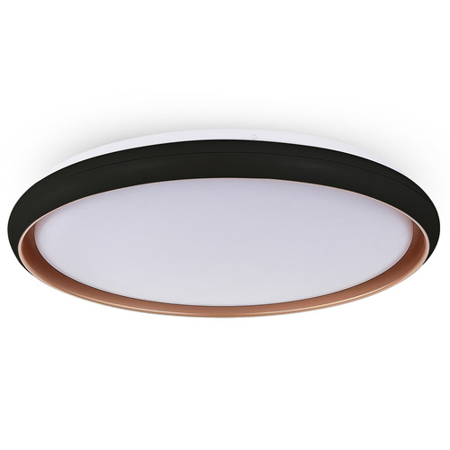 Aurora LED Oyster Light
