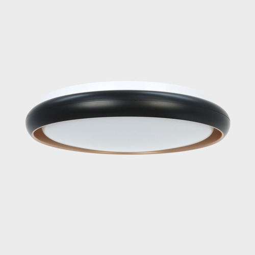 Aurora LED Oyster Light