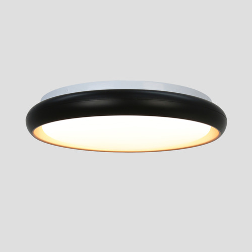 Aurora LED Oyster Light
