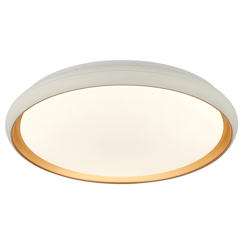 Aurora LED Oyster Light