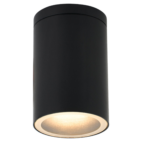 Declan Outdoor Ceiling Light