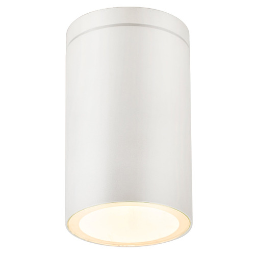 Declan Outdoor Ceiling Light