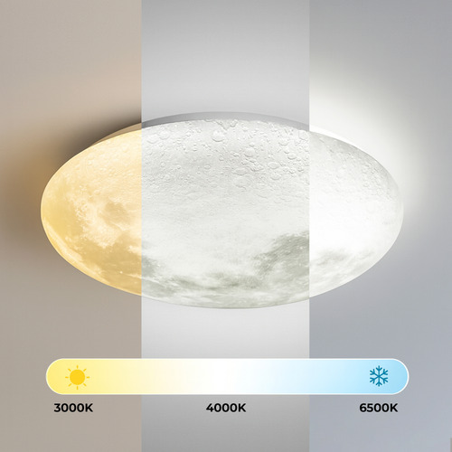 Nereus Led Flush Mount Ceiling Light