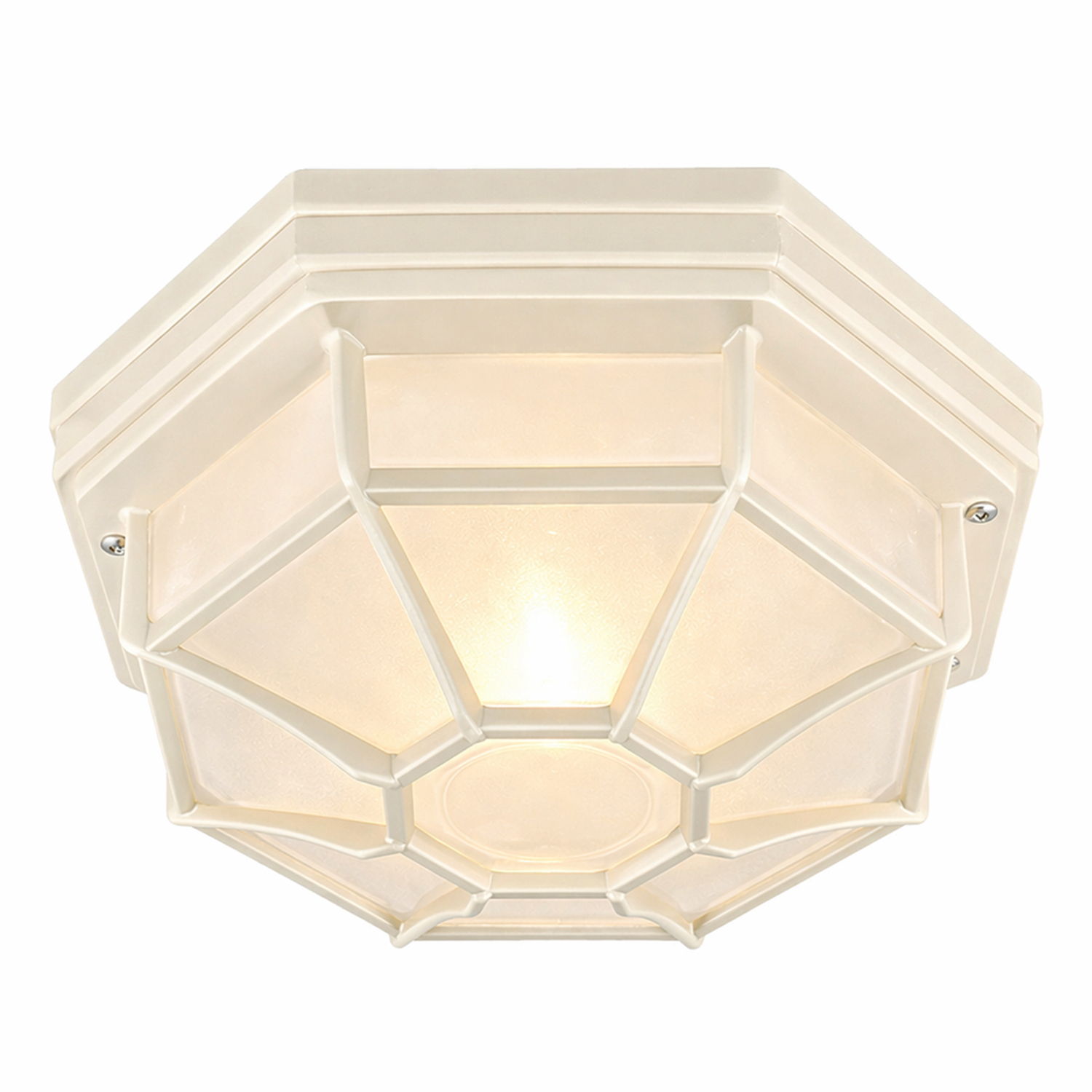 Moines Aluminium Outdoor Flush Mount Ceiling Light