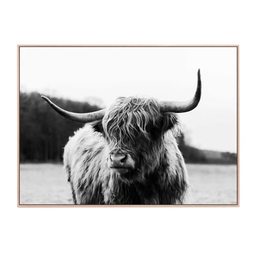 Highland Cow Framed Canvas Wall Art