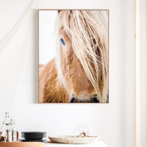 Wild Pony Framed Canvas Wall Art