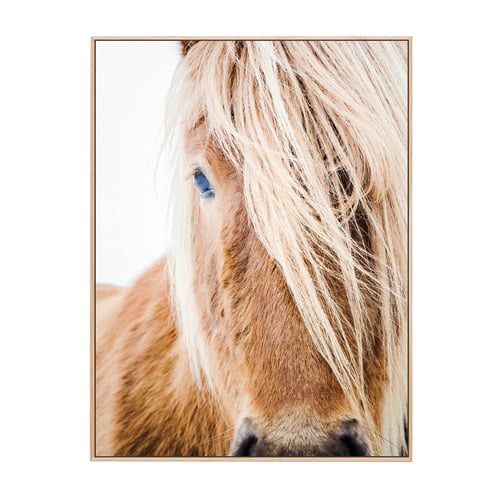 Wild Pony Framed Canvas Wall Art