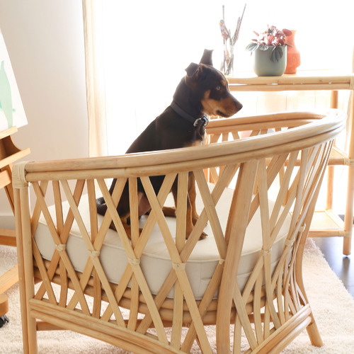 Romeo Rattan Tub Chair