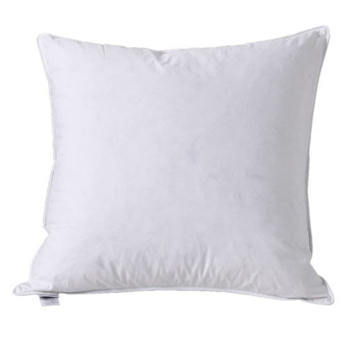White Goose Feather & Down European Pillow