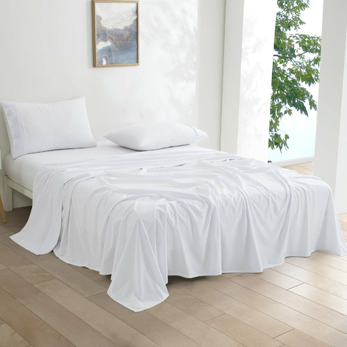 Micro Flannel Velvet Sheet Set