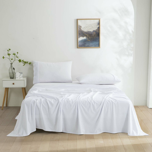 Micro Flannel Velvet Sheet Set