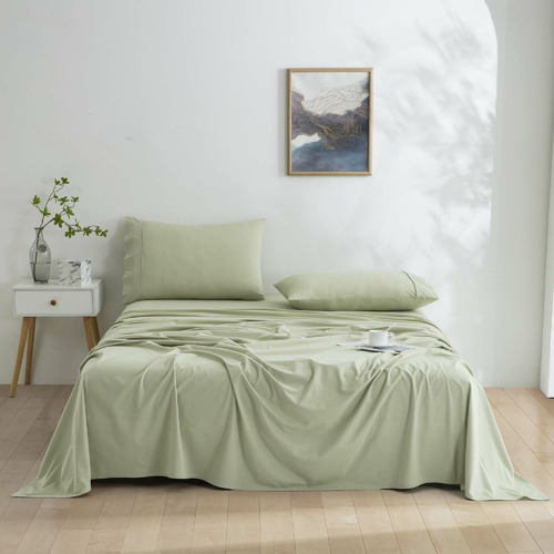 Micro Flannel Velvet Sheet Set