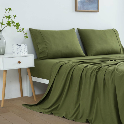 Micro Flannel Velvet Sheet Set