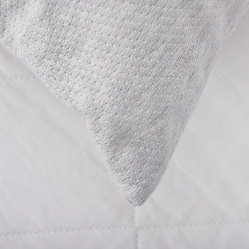 Paisley Memory Foam King Pillows