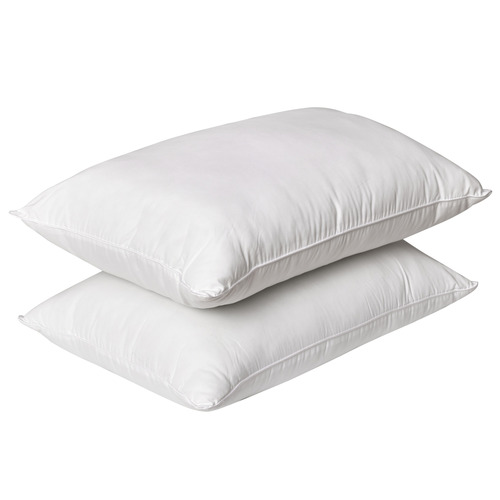 Japara Cotton Standard Pillows