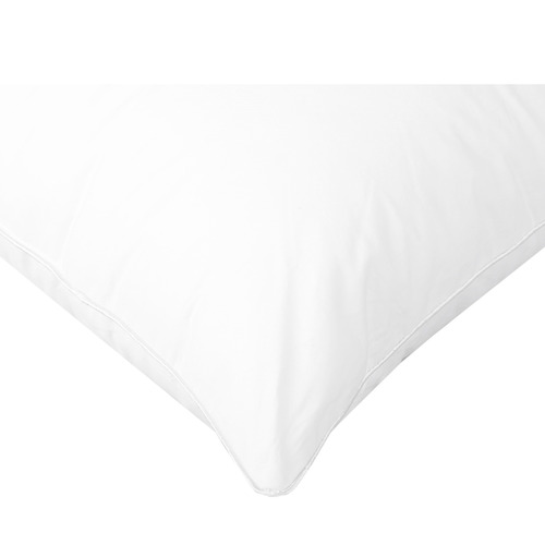 Japara Cotton Standard Pillows