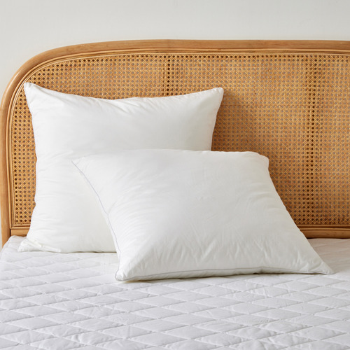 Japara Cotton European Pillows