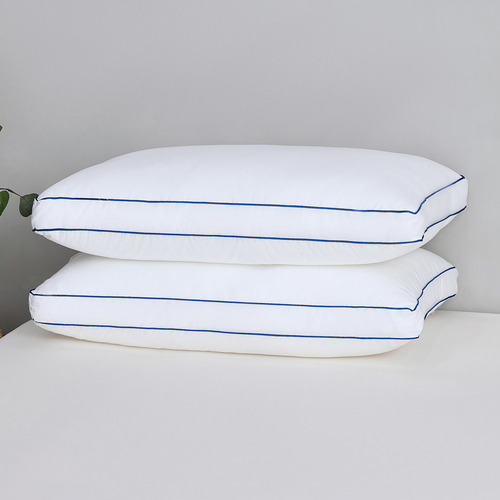 Albert High Profile Soft Gusseted Standard Pillows