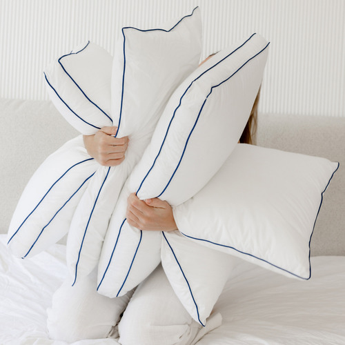 Albert High Profile Soft Gusseted Standard Pillows