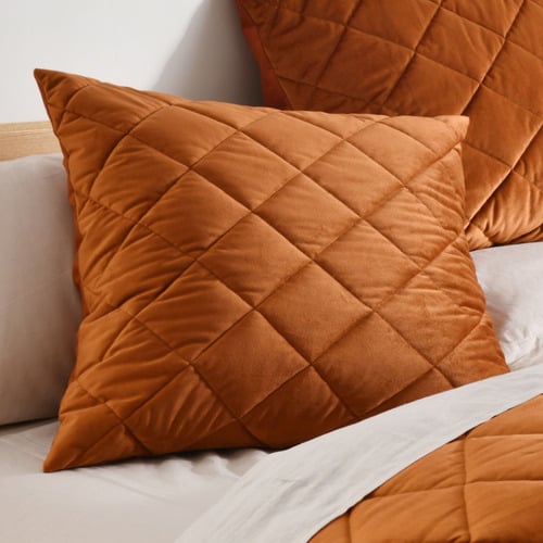 Horace French Velvet European Pillowcase