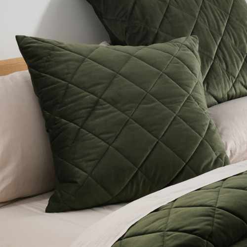 Horace French Velvet European Pillowcase
