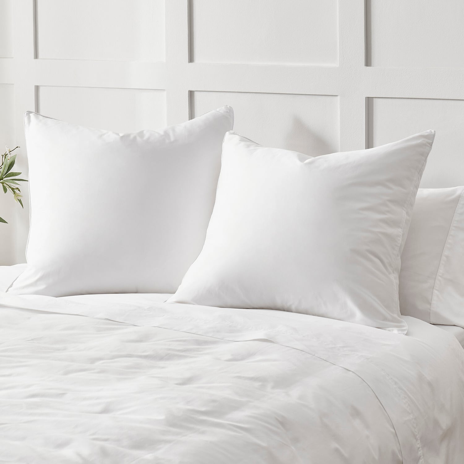 Gavin Cotton Sateen European Pillowcases