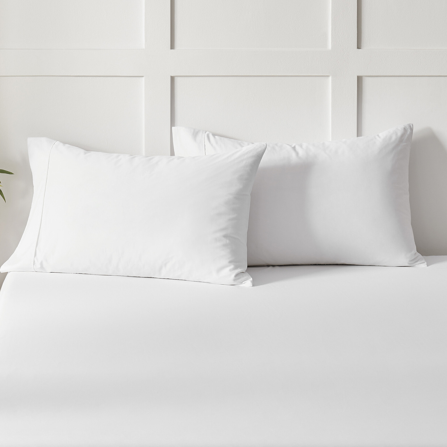 Gavin Cotton Sateen Pillowcases