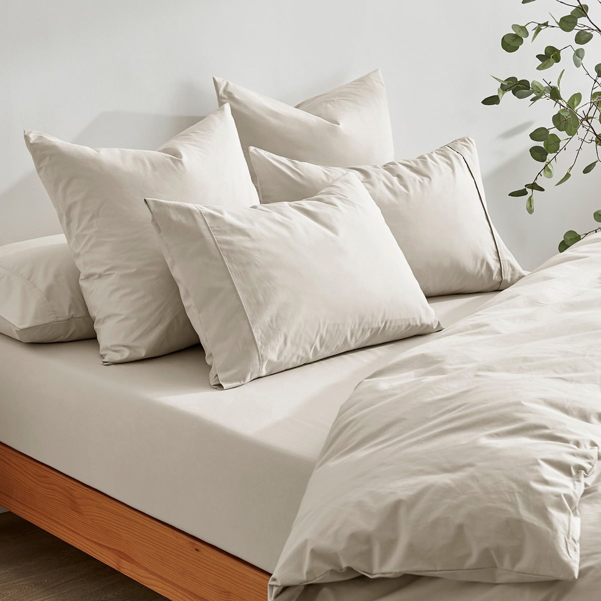 Ropert Cotton Percale Fitted Sheet Set