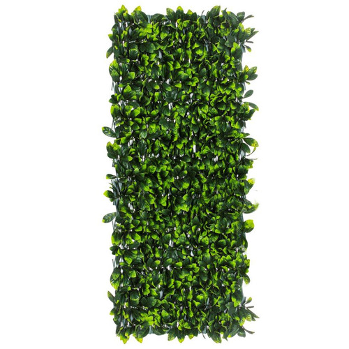 100cm Gardenia Expandable Trellis