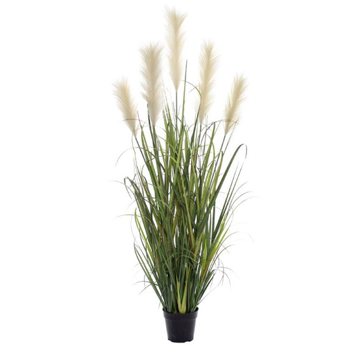 The Home Collective Potted Faux Pampas Grass | Temple & Webster