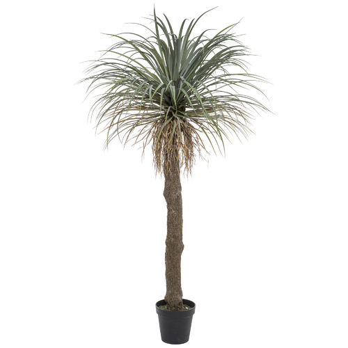 Potted Faux Grass Tree