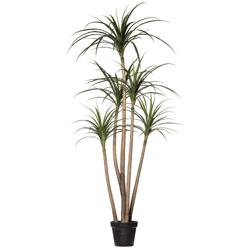 Potted Faux Dracaena Marginata Tree 