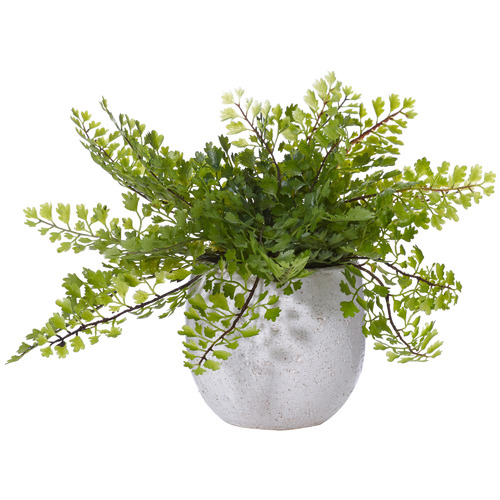 The Home Collective 22cm Faux Maidenhair Fern with Tub Pot & Reviews