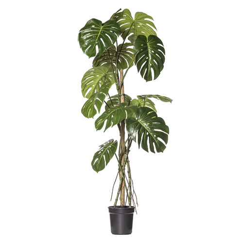 150cm Potted Faux Monstera Plant Temple & ster