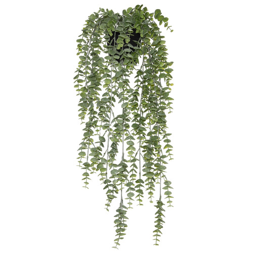 The Home Collective 60cm Hanging Potted Faux Silver Leaf Plant | Temple ...