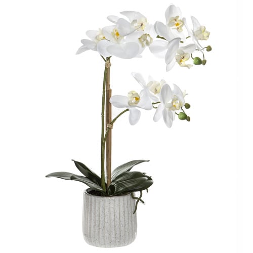 48cm Potted Faux Butterfly Orchid Plant