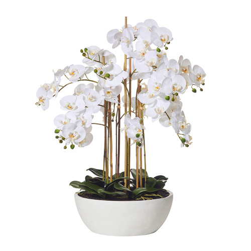 83cm Faux Butterfly Orchid with Round Pot