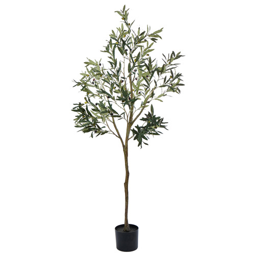 The Home Collective 183cm Potted Faux Olive Tree | Temple & Webster